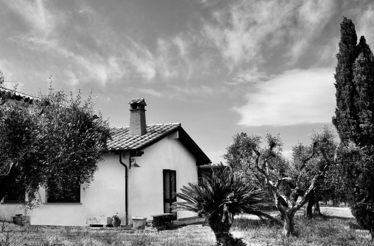 Orti Di Capalbio Villa Exterior photo